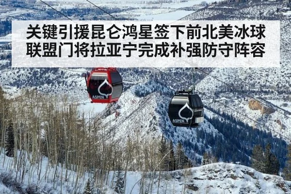 关键引援昆仑鸿星签下前北美冰球联盟门将拉亚宁完成补强防守阵容