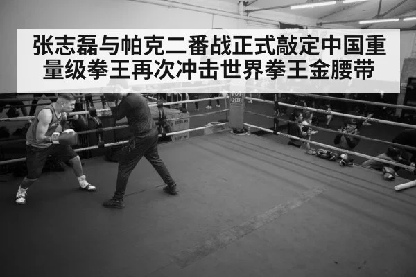 张志磊与帕克二番战正式敲定中国重量级拳王再次冲击世界拳王金腰带