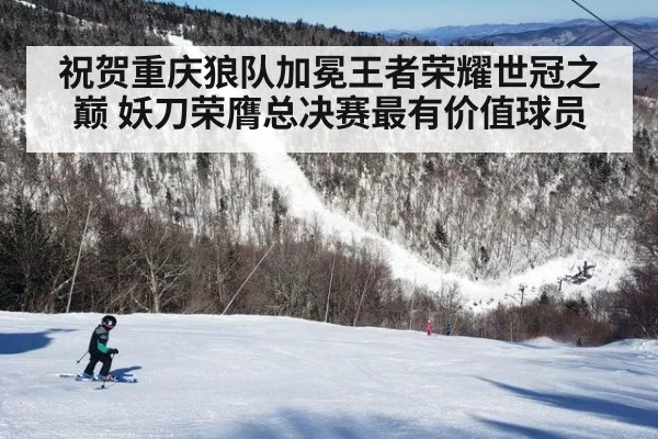 祝贺重庆狼队加冕王者荣耀世冠之巅 妖刀荣膺总决赛最有价值球员