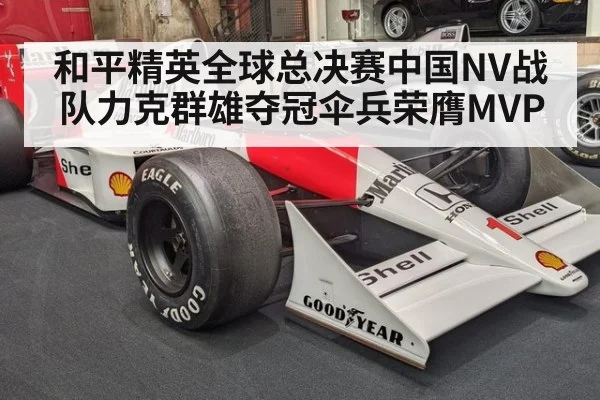 和平精英全球总决赛中国NV战队力克群雄夺冠伞兵荣膺MVP